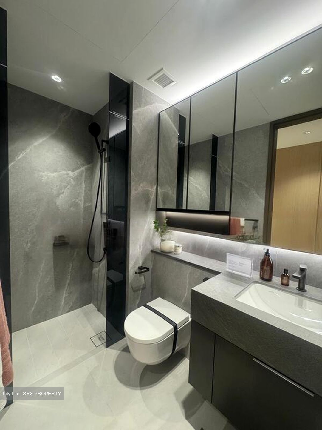 Zion Road (D3), Condominium #465634461